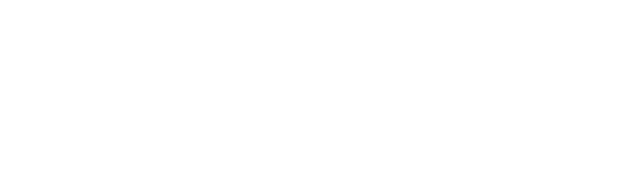 datadyn.dev